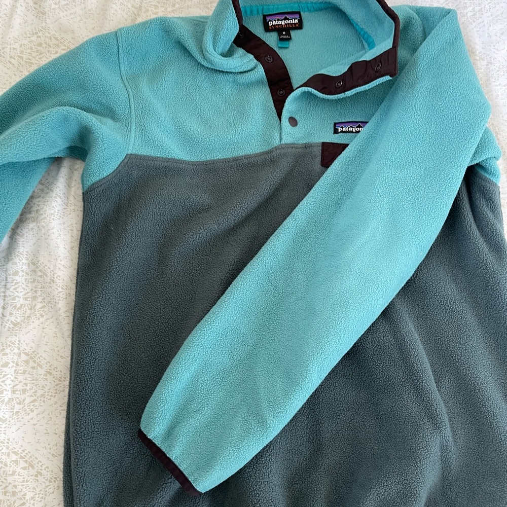 Patagonia Snap-T Synchilla sweat shirt